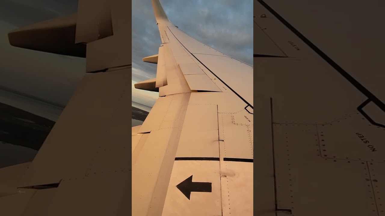 American Airlines 737-800 Takeoff Tampa