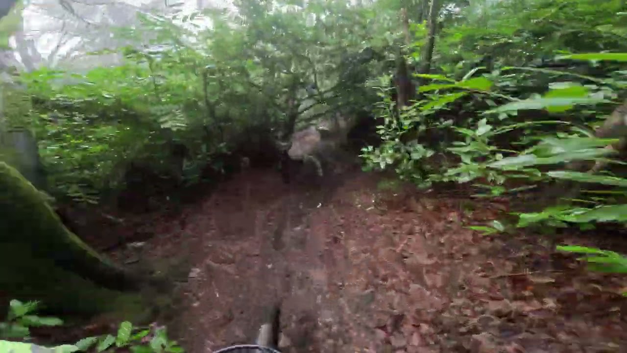 Ravensdale 8/2/26