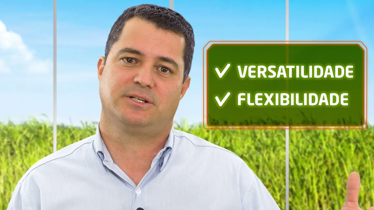 Broca da cana: como controlar essa praga, de forma eficaz