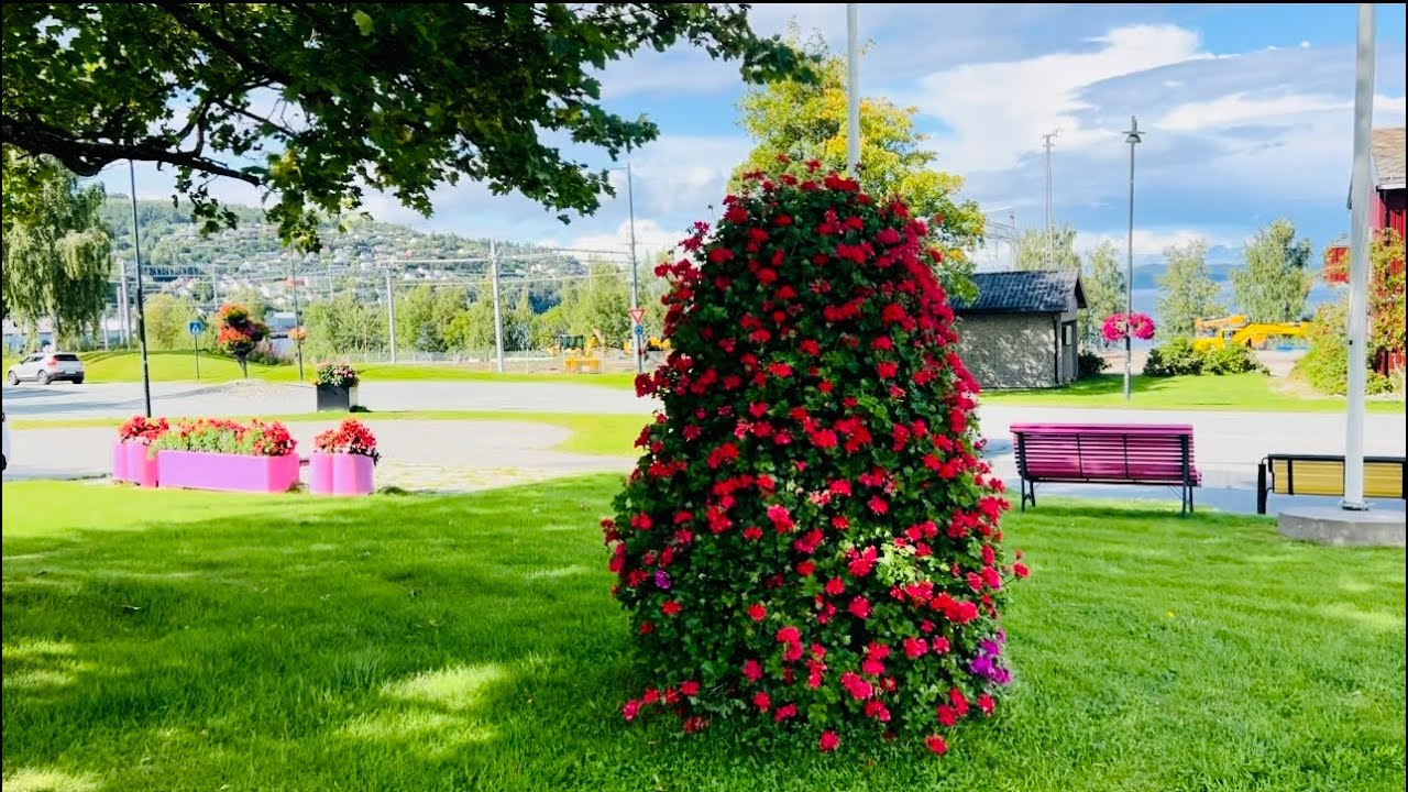 Walking tour in Hommelvik, Hommelvik is a beautiful place, Norway