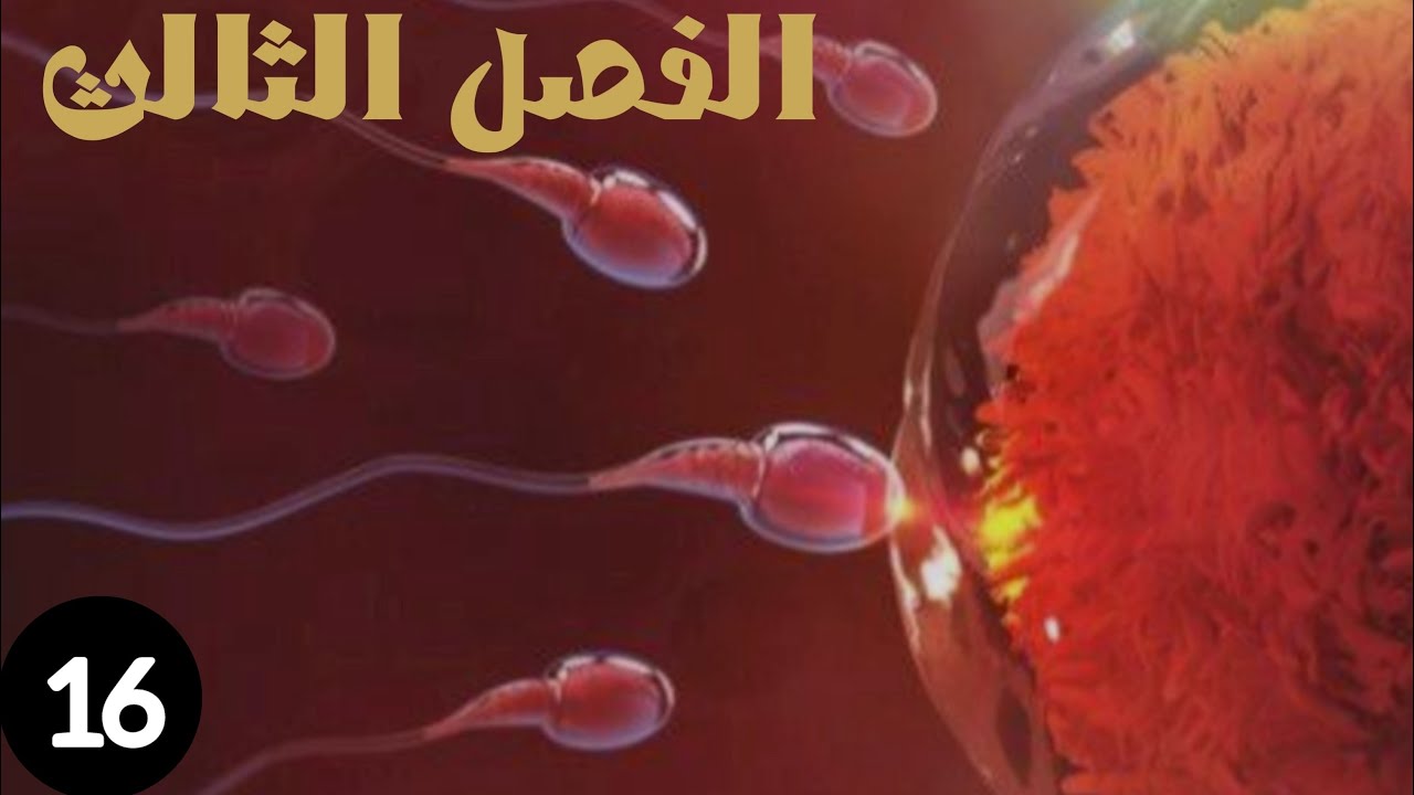 � أحياء السادس العلمي | الفصل الثالث | التكاثر في الإنسان  👩‍🦰👨‍🦱 