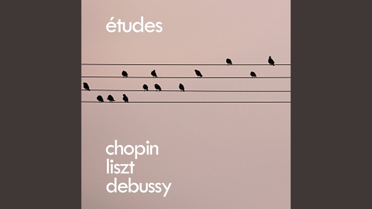Liszt: 3 Etudes de Concert, S.144: No. 3 In D Flat 