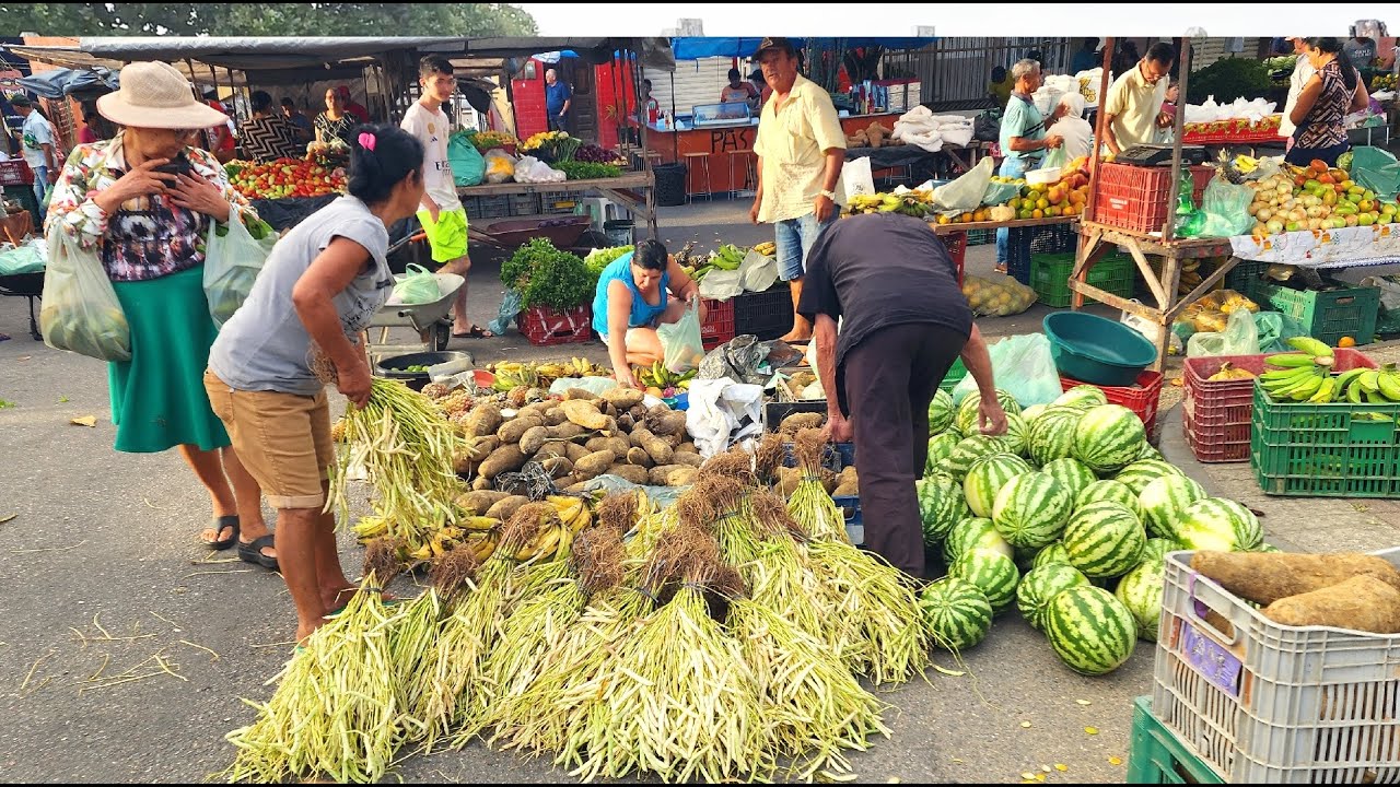 FEIJÃO E MILHO VERDE O ANO TODO NO NORDESTE. OLHA ISTO BRASIL!