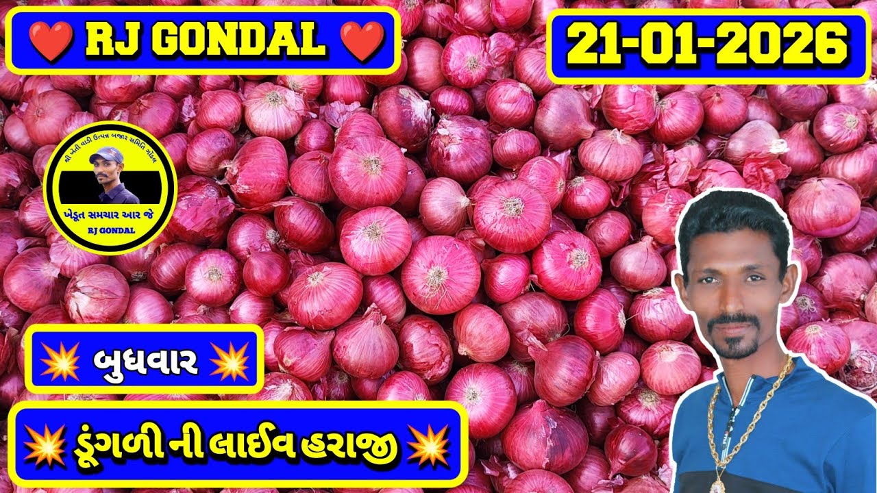 Dungri Na Bhav | 21-01-2026 | ગોંડલ ડૂંગળી ના ભાવ | Onion Market | RJ Gondal Marketing Yard 