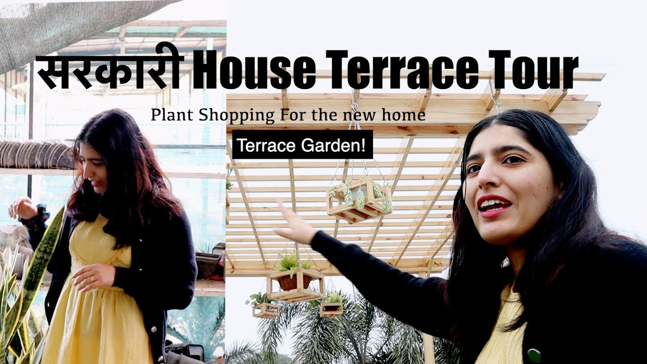 Terrace Garden Tour |Buying plants for the new home| Shruti Shiva