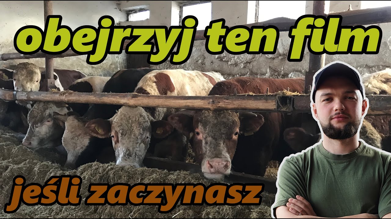 BYCZY INTERES czyli SUKCES CZY PORAŻKA ?