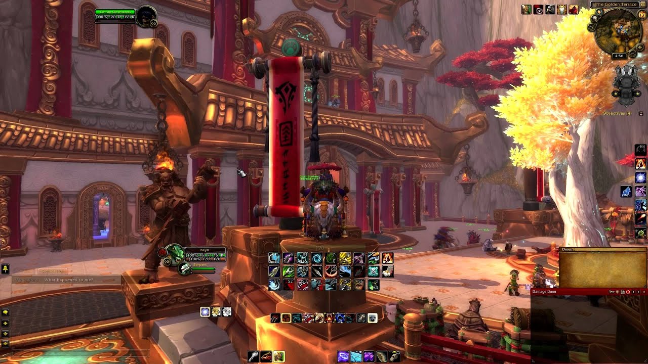 BM Hunter PVE DPS Guide Patch 5.3