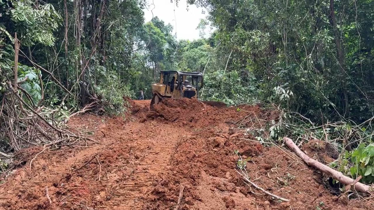 Horrible Job! CAT D6R Bulldozer Builds New Road on Mountain Cliff