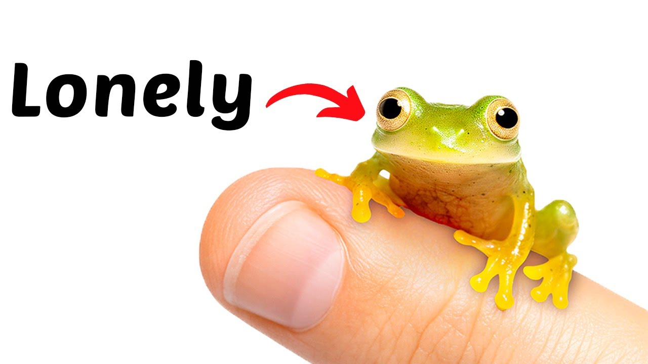 Finding a Girlfriend For The World&rsquo;s Loneliest Frog