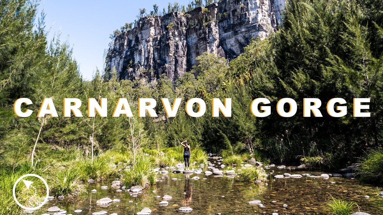 Exploring Carnarvon Gorge: A Must-See in Queensland