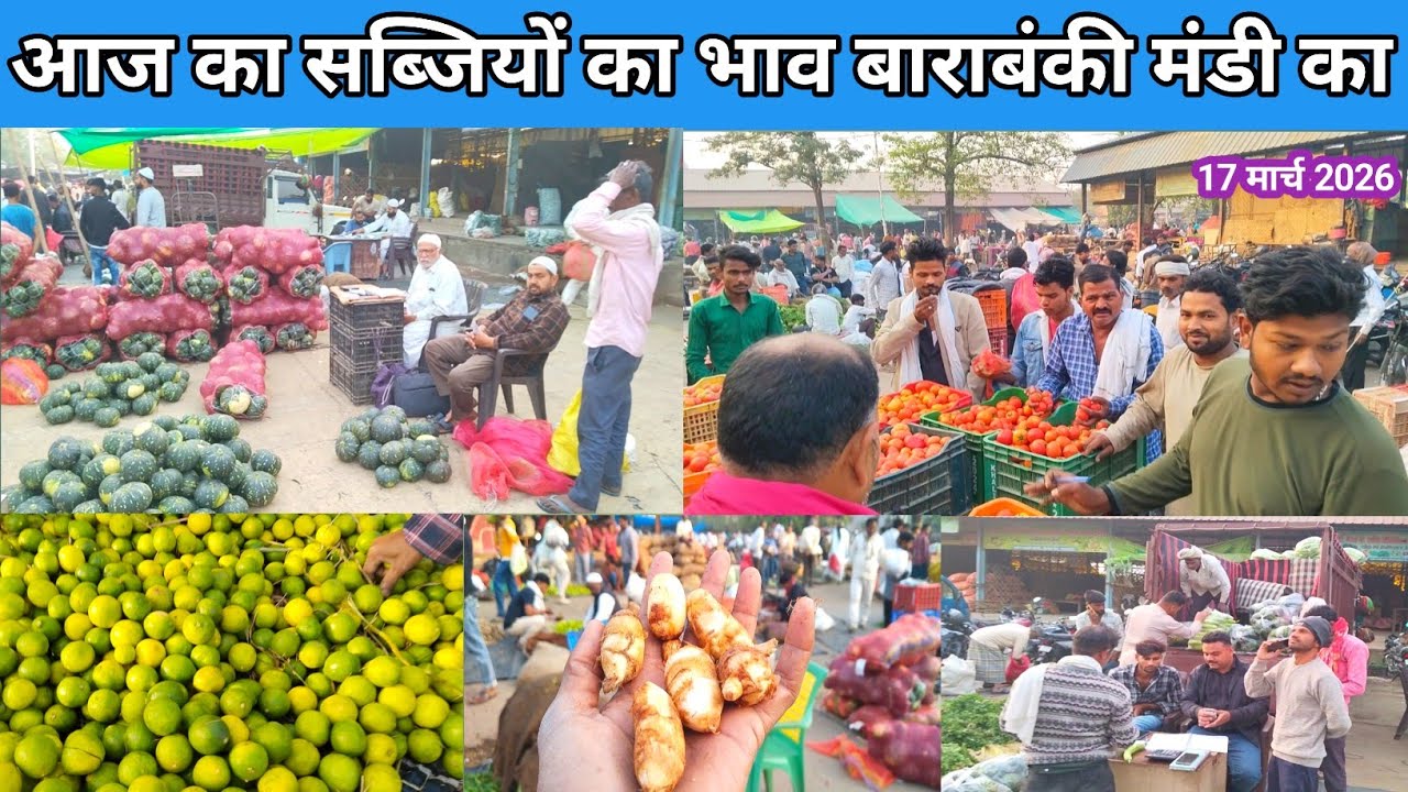 March 17, 2026 Barabanki UP 💯 आज का सब्जियों का भाव बाराबंकी मंडी का 🍋 Arabi ka bhav 🫛 Mandi bhav 