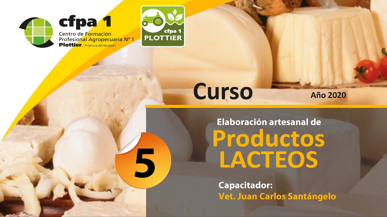 Curso de Lácteos. Elaboración de Quesos. Clase 5.
