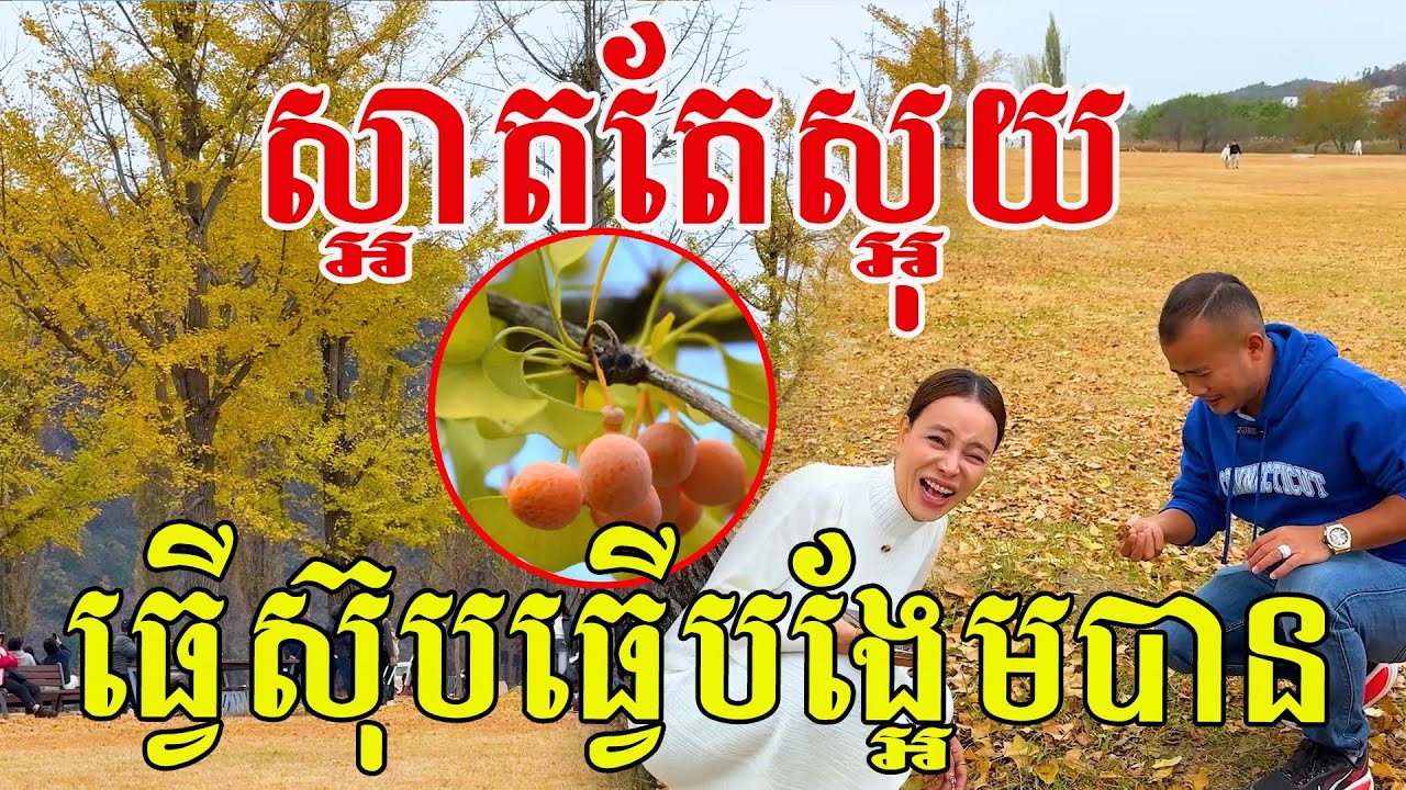 ស្អាតតែក្លិនដល់កហើយ តែធ្វើស៊ុប ធ្វើបង្អែមឆ្ងាញ់ណាស់