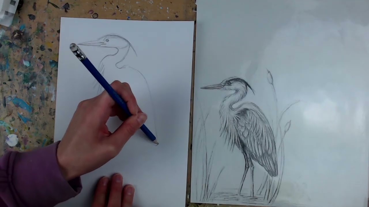 Blue Heron — Учебное пособие по основам
