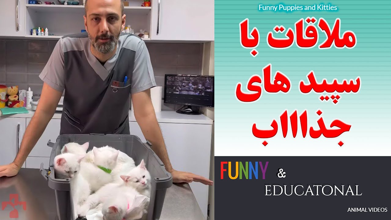 ملاقات با سپید های جذااب
