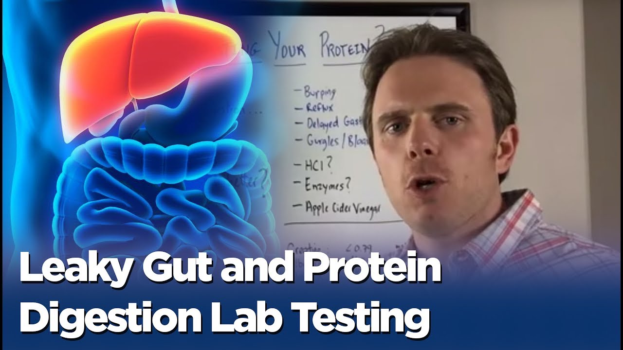 Leaky Gut and Protein Digestion Lab Testing- Heartburn and Indigestion