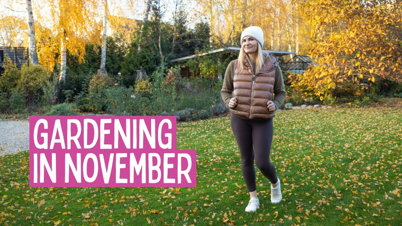 November Gardening Tasks: Perennial Care, Tulip Bulb Planting & Leaf Management