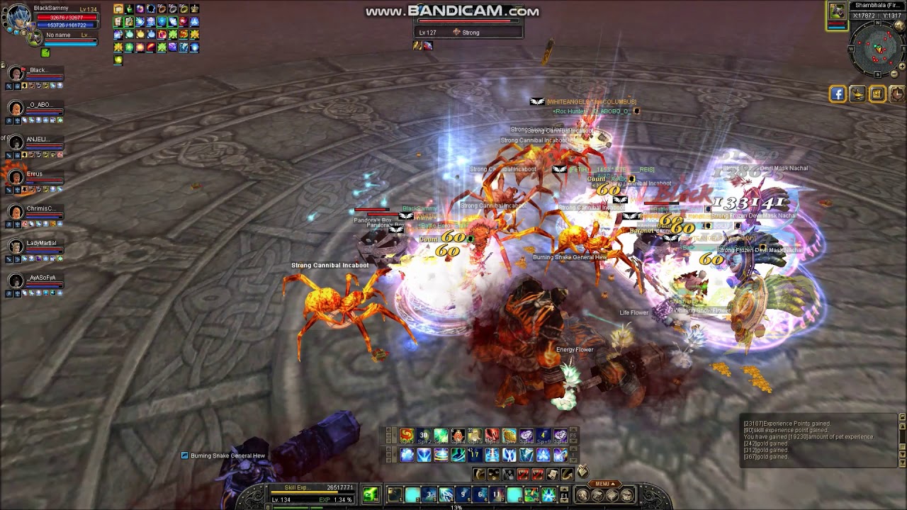 Silkroad Online 140 Level Grinding