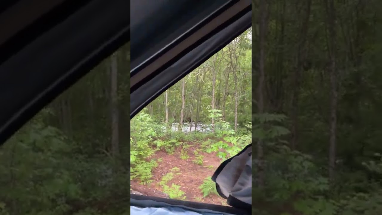 Video of Toll Bridge Park Campground, OR from Carly E.