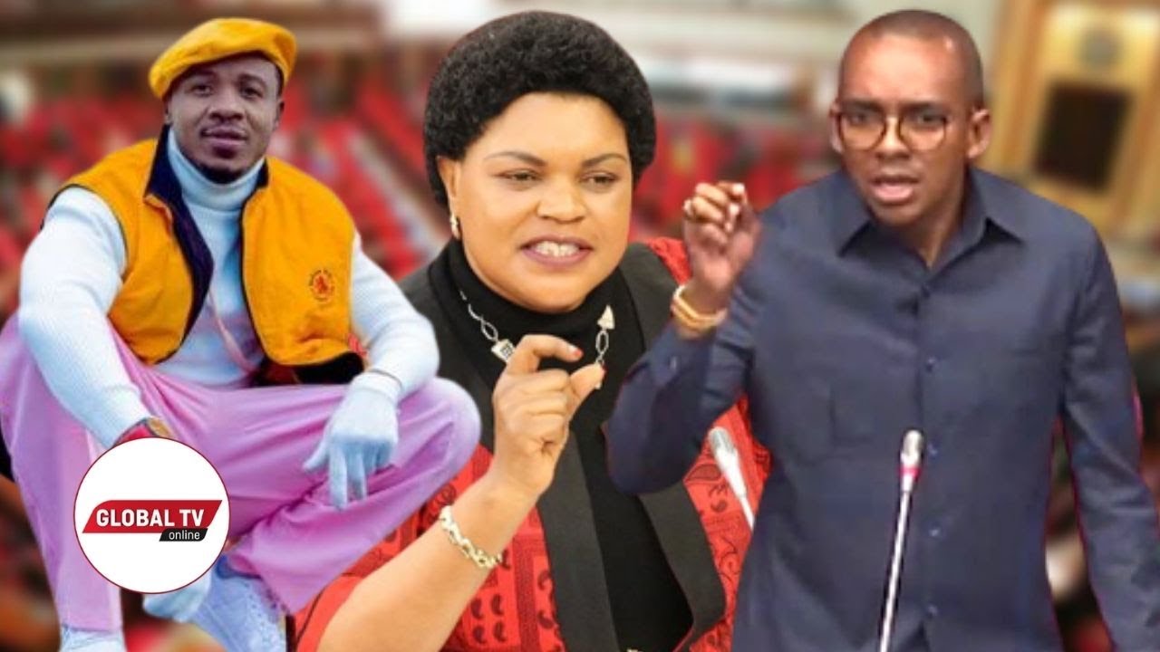 MISTARI ya UTU ya ALIKIBA YATUMIKA BUNGENI, JERRY SILAA AKIMSIFIA WAZIRI MHAGAMA, WABUNGE WOTE HOI..