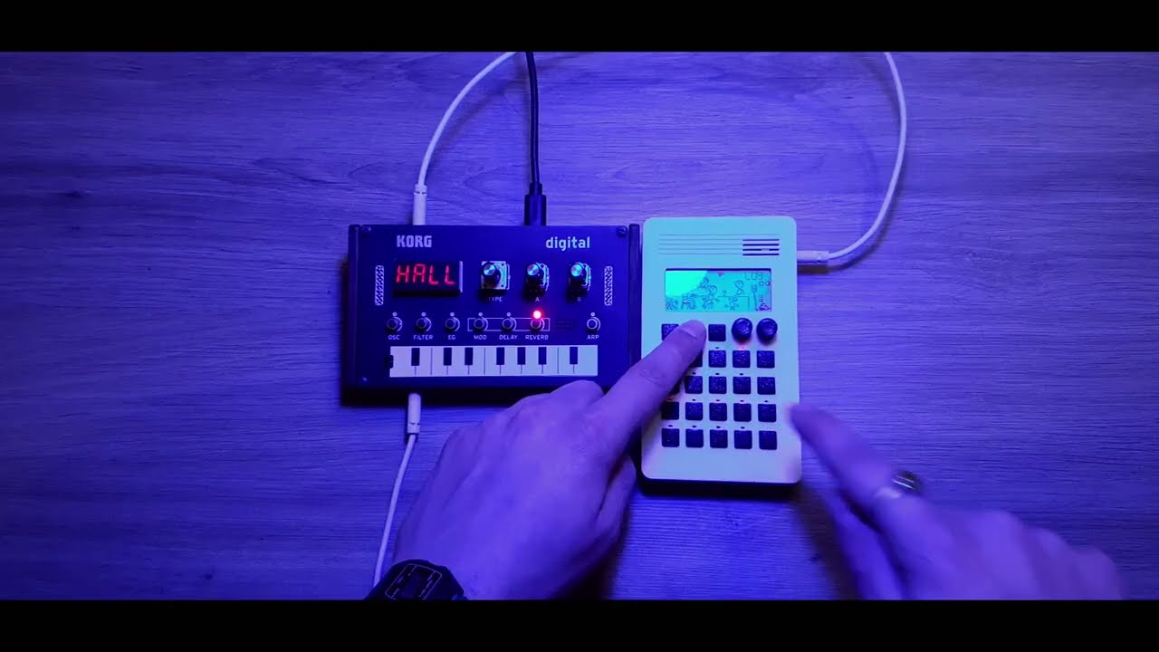 Ocean Echo: PO-32 Tonic & KORG NTS-1 (data transfer included)