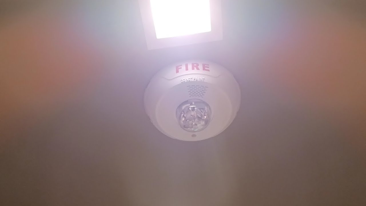 Fire Alarm Test #2 (Fire Lite ES-200X) System Sensor Ceiling Mount L-Series Horn Strobes (Short)