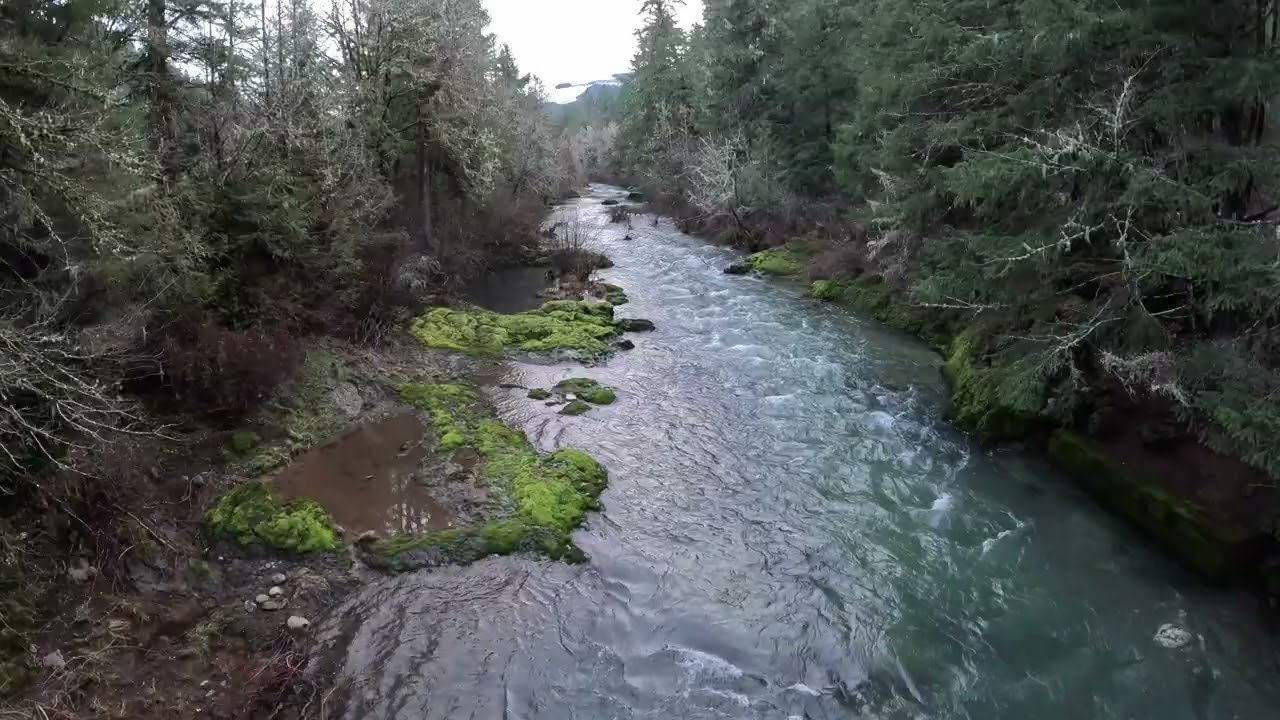 Relax To The Sights And Sounds Of Sharps Creek Oregon / Looking Down Into The Creek