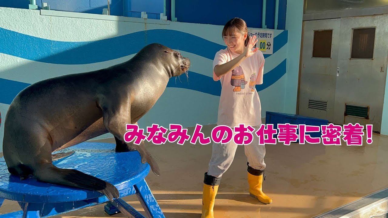 タケスイスタッフのお仕事に密着～みなみん扁～