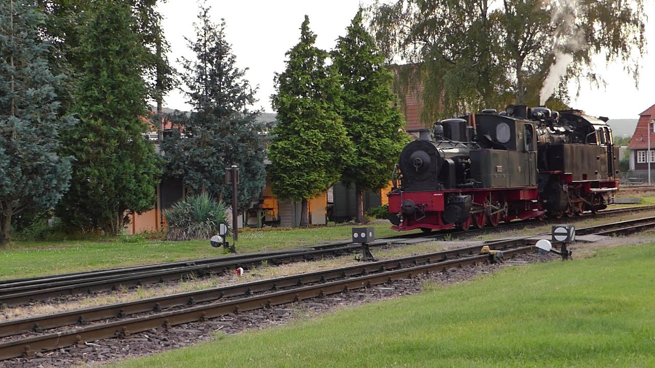 Harzer Schmalspurbahn 2024 / Lok 