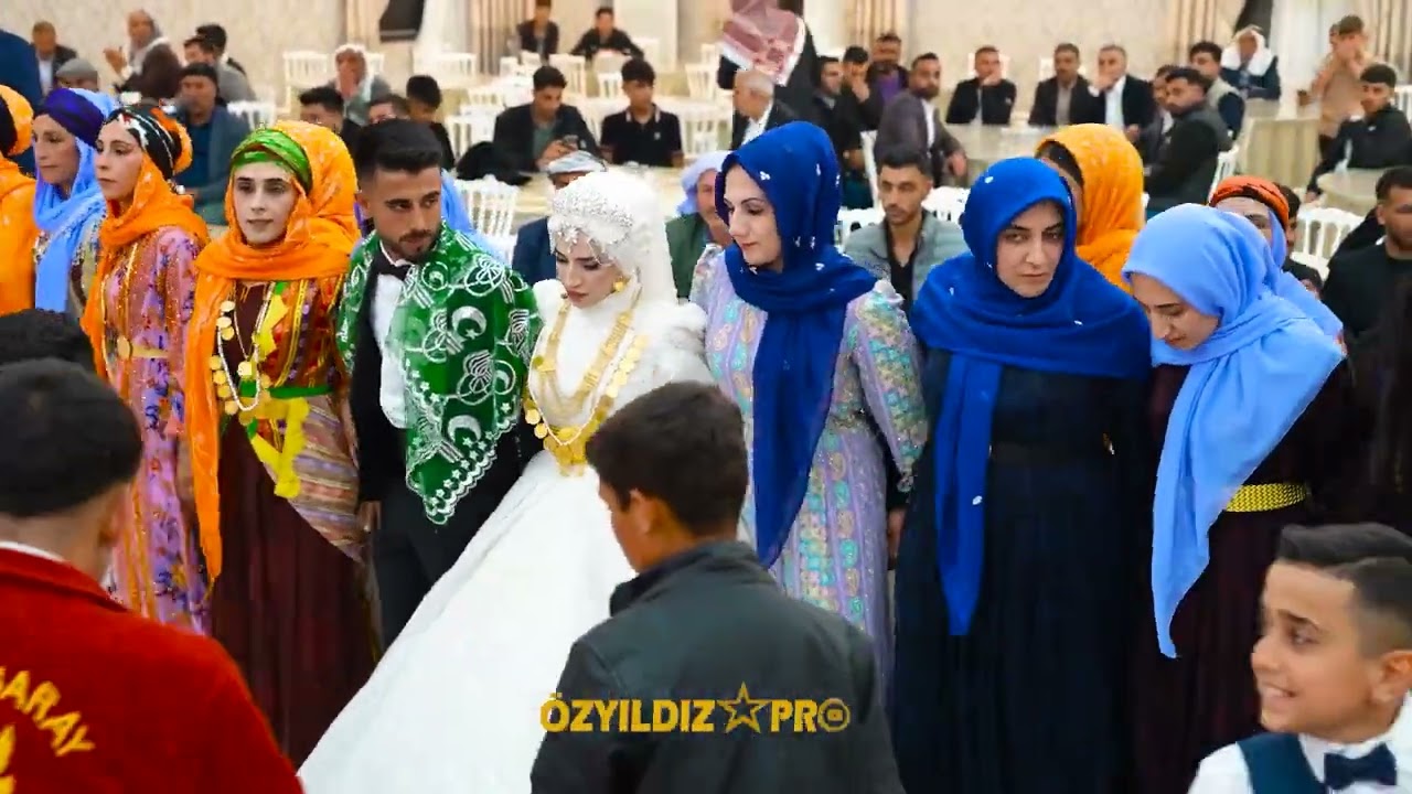 Kürt Düğününde Gençler Sahne Aldı #halay #halaybasi #düğün #kurdish #wedding