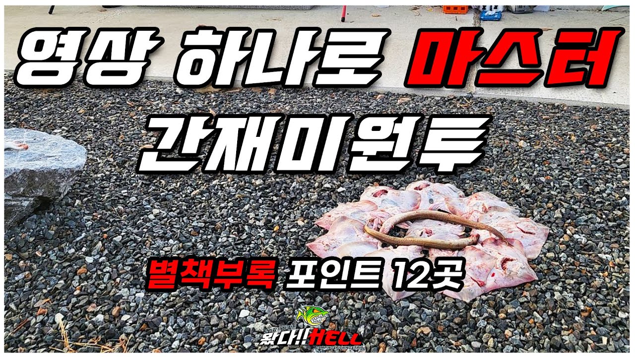 간재미 낚시 촐조 전 꼭 봐야하는 영상, 겨울 간재미 원투낚시의 모든 것  [왔다Hell]