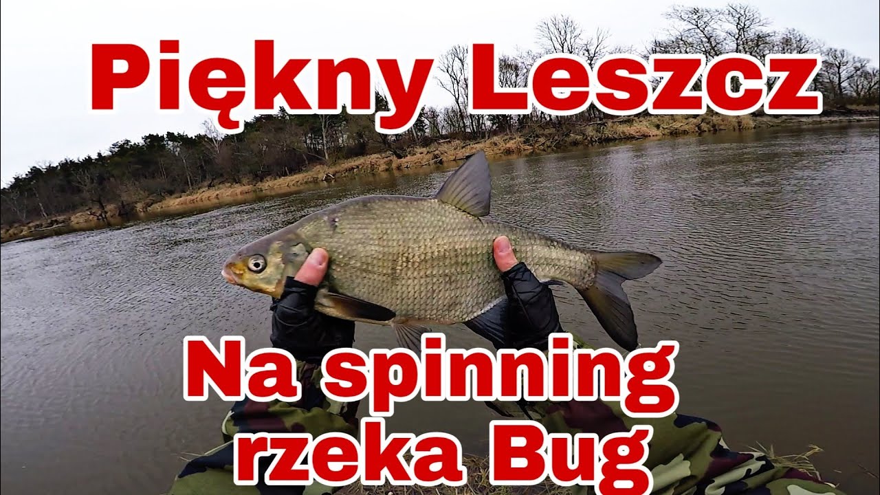 Leszcz na spinning z rzeki Bug. Szczupak ze zbiornika. Grudniowe ryby