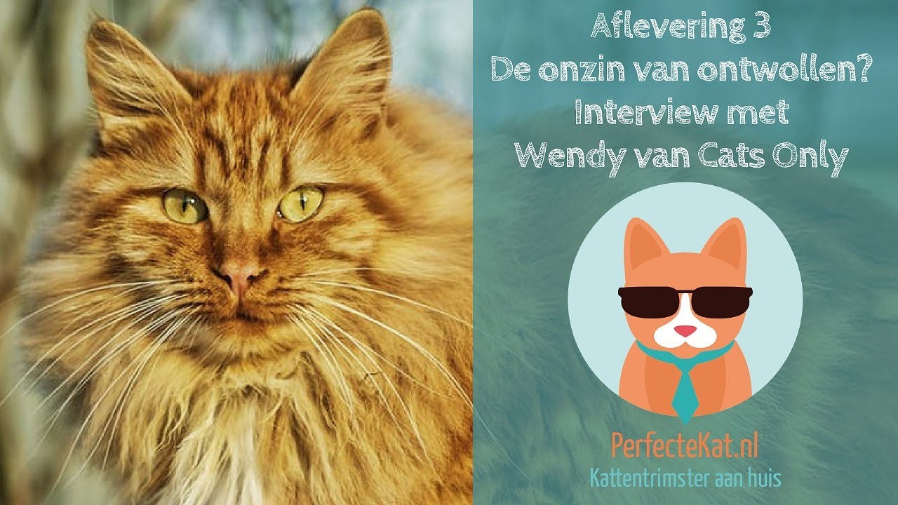 Aflevering 3: Ontwollen van katten? Interview met Wendy van Cats Only
