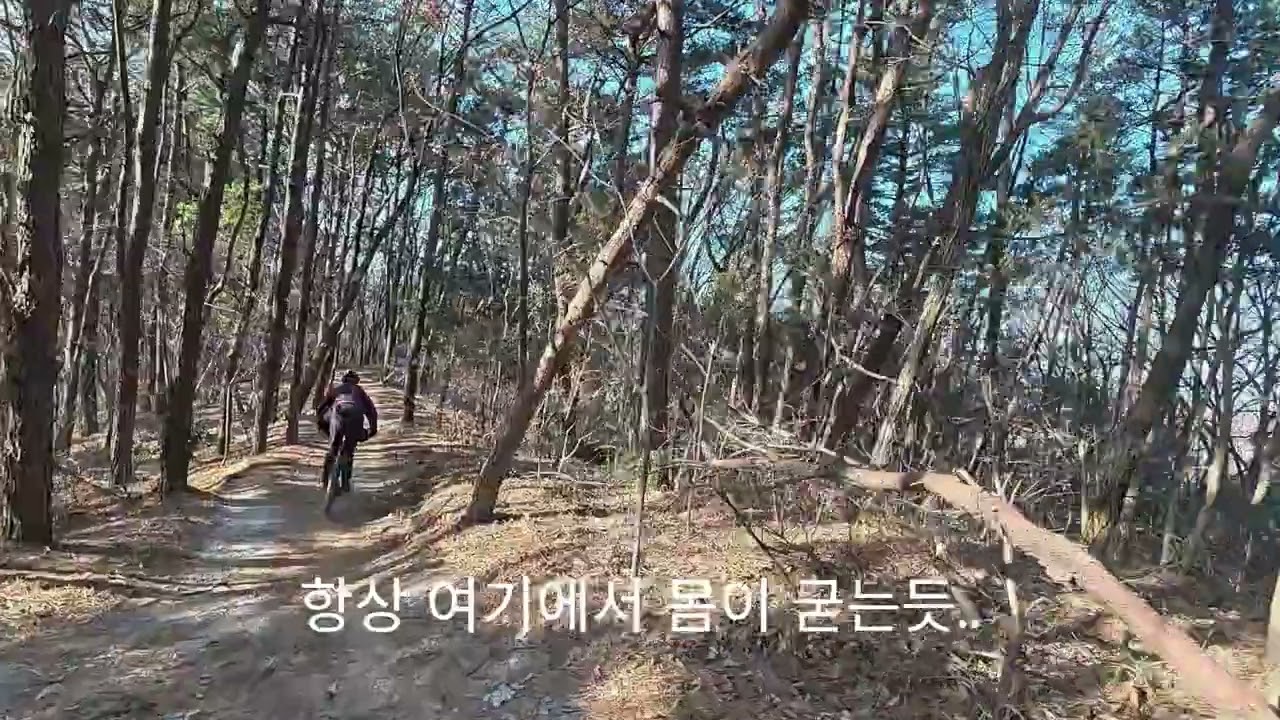 세종엠티비/바이크101/장군산 GT/ [선행라이더 별비님] / 25 .2.1