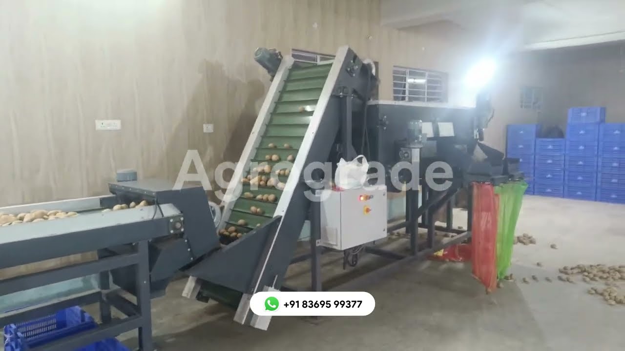 आलू ग्रेडिंग मशीन | Potato Grading Machine