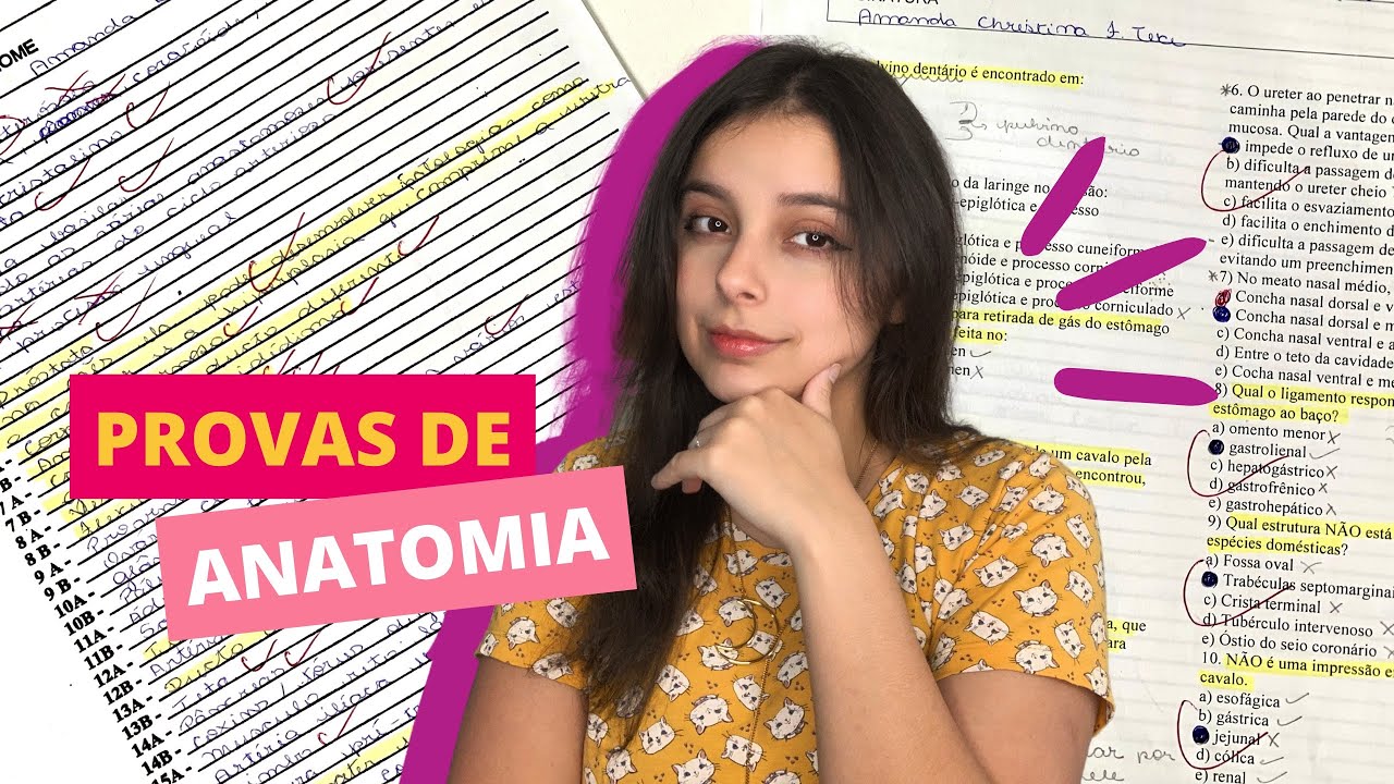 COMO ERAM AS PROVAS DE ANATOMIA VETERINÁRIA | Veterinanda