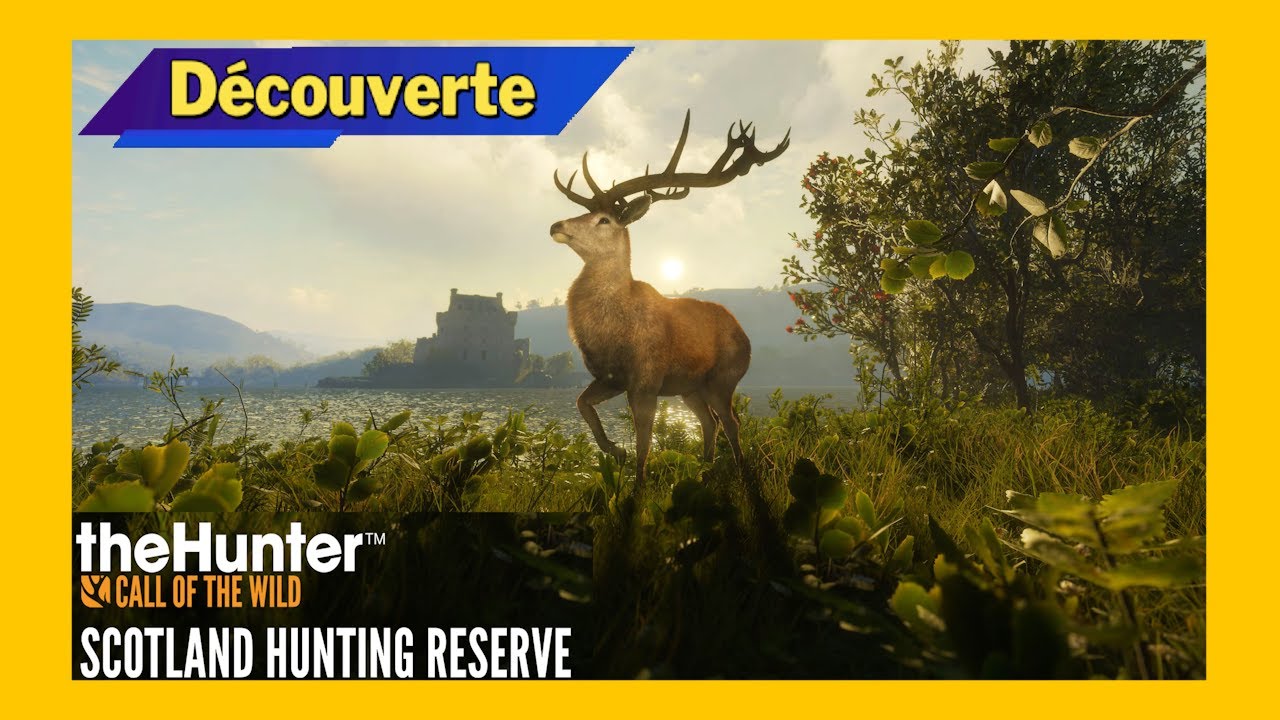 La Chasse Aux Blaireaux - Scotland Hunting Reserve - Découverte (FR) TheHunter : Call of the Wild™