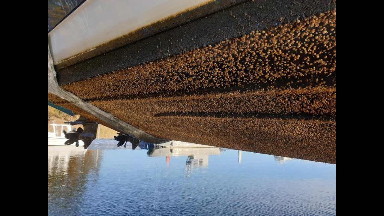 How to remove barnacles from your boat