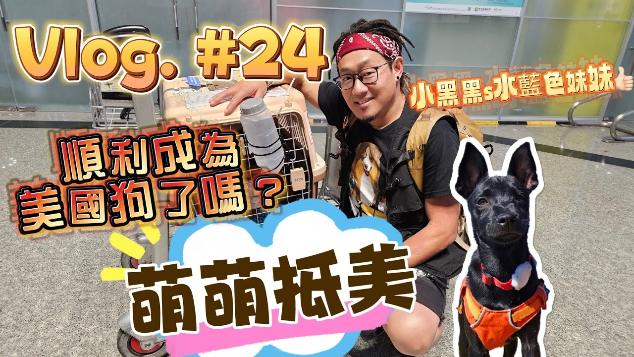 # 24 小黑黑s的水藍色妹妹- 萌萌被美國人領養了。德叔準備親自帶她去美國見新家人了  #Olivia