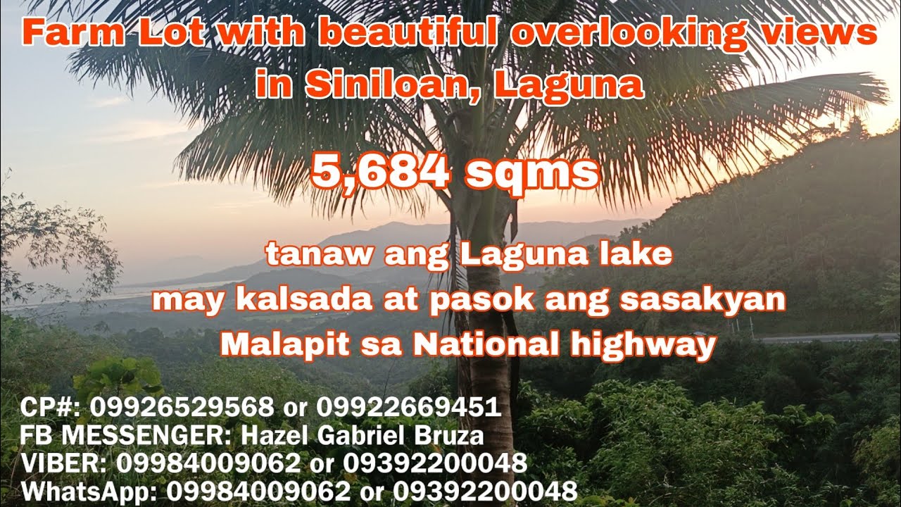 (P# 678) 5,864 sqms Farm Lot with overlooking view @ 2.8Million net price in Siniloan, Laguna 4 sale