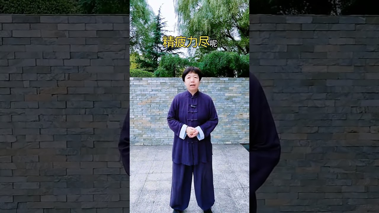 三条黄金法则违背等于百练#太极 #内家拳 #拍作品我是认真的 #上下矛盾桩