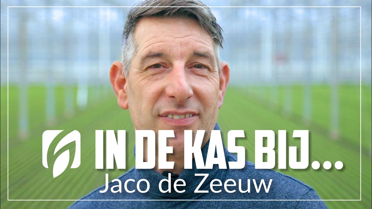 In de kas bij radijsteler Jaco de Zeeuw uit ‘s -Gravenzande