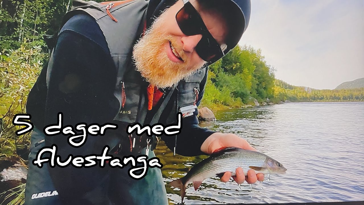 5 dager med fluestanga