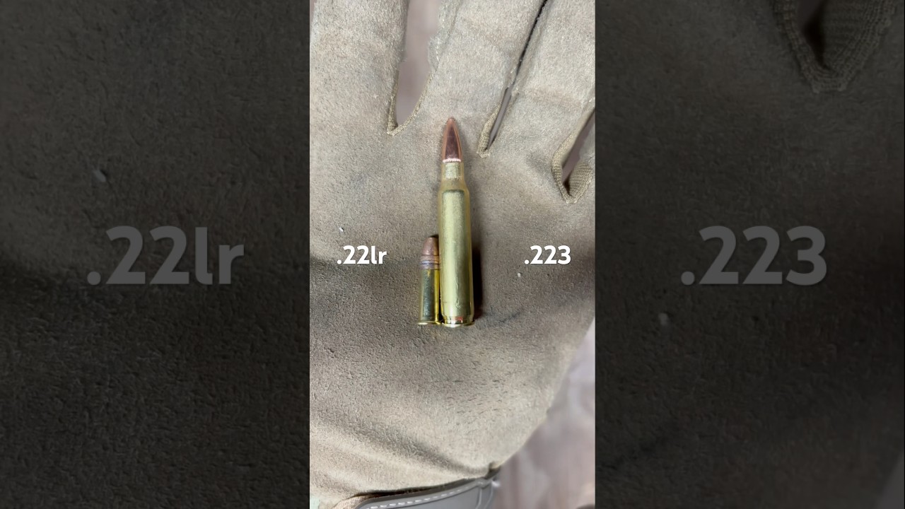 .22lr vs .223 Rem Size Comparison