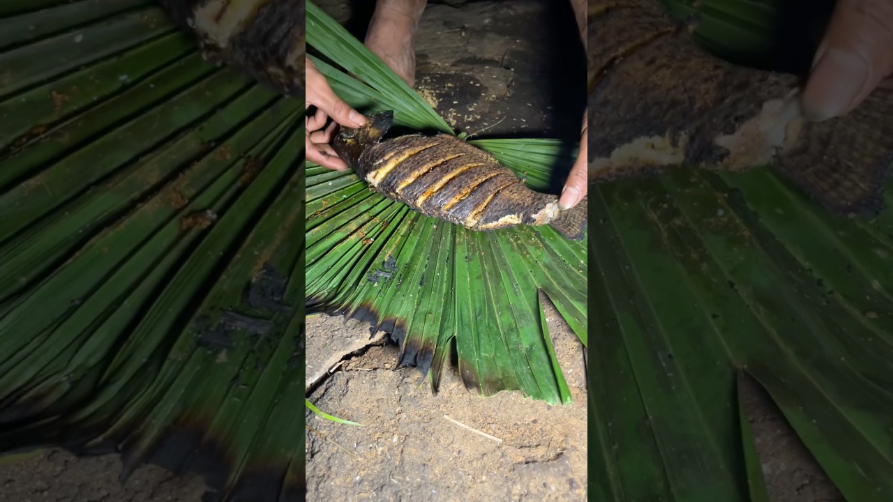Survival cooking 🥘 in forest 