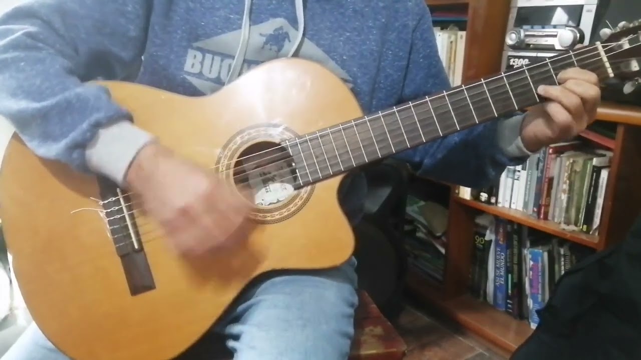 Rio de los pájaros (litoraleña aprender guitarra) acordes SOLM, REM y LAM