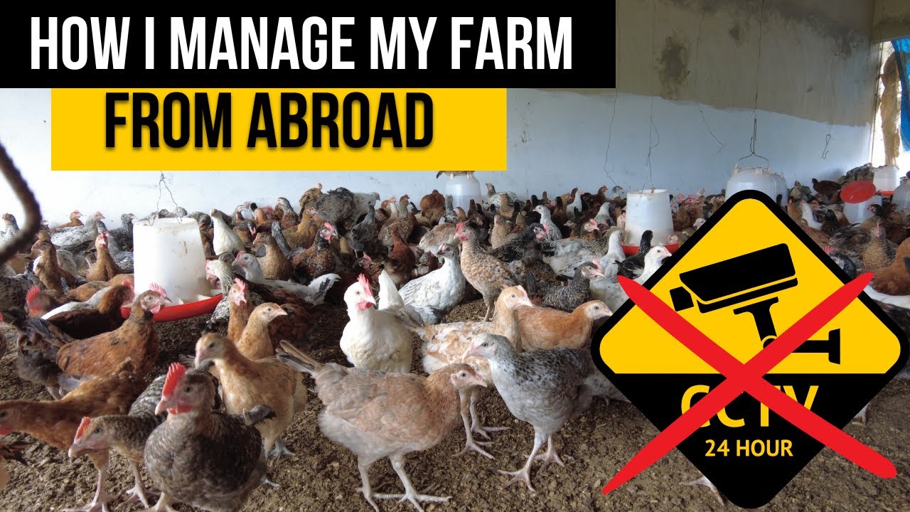 This is how I manage my farm from abroad
