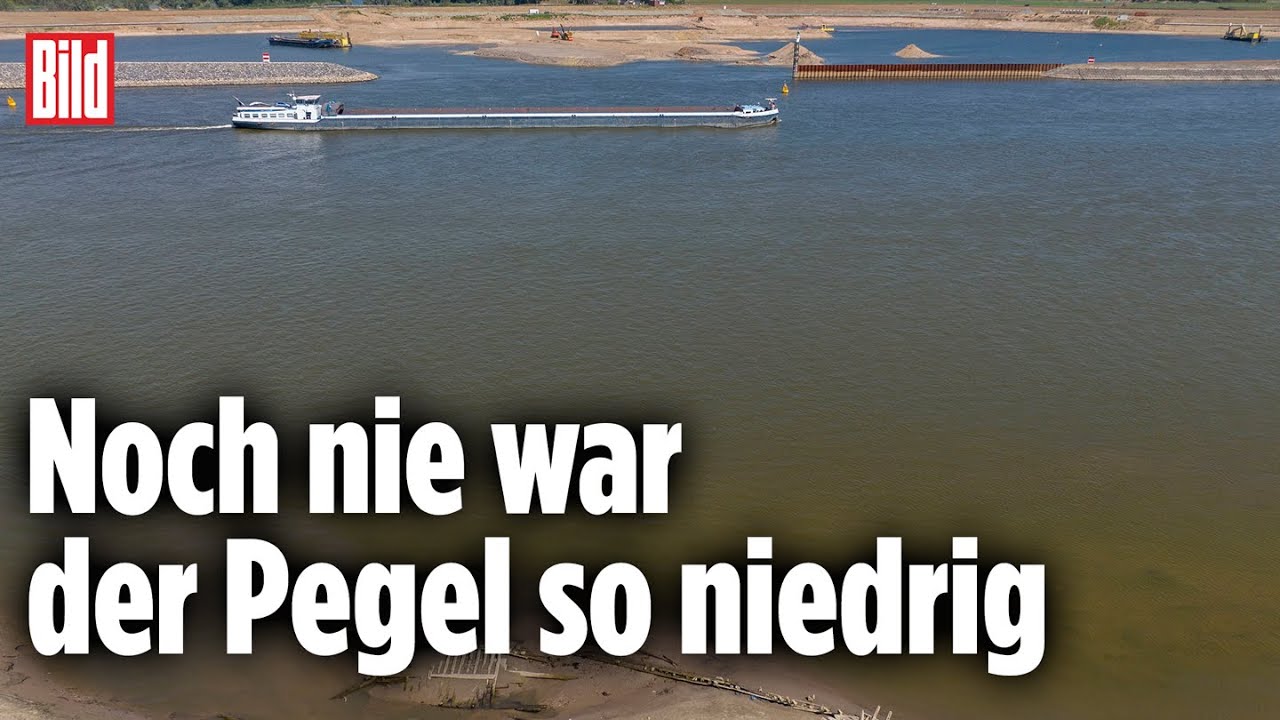 Der Rheinpegel liegt bei Null | Trockenheit und Dürre in Deutschland