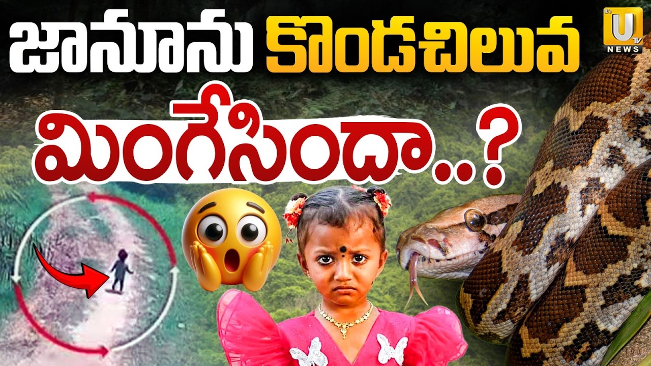 Did python swallow Jahnavi? | కొండ చిలువ మింగేసిందా..? | Tuni Jahnavi Missing Case | Its UTV News