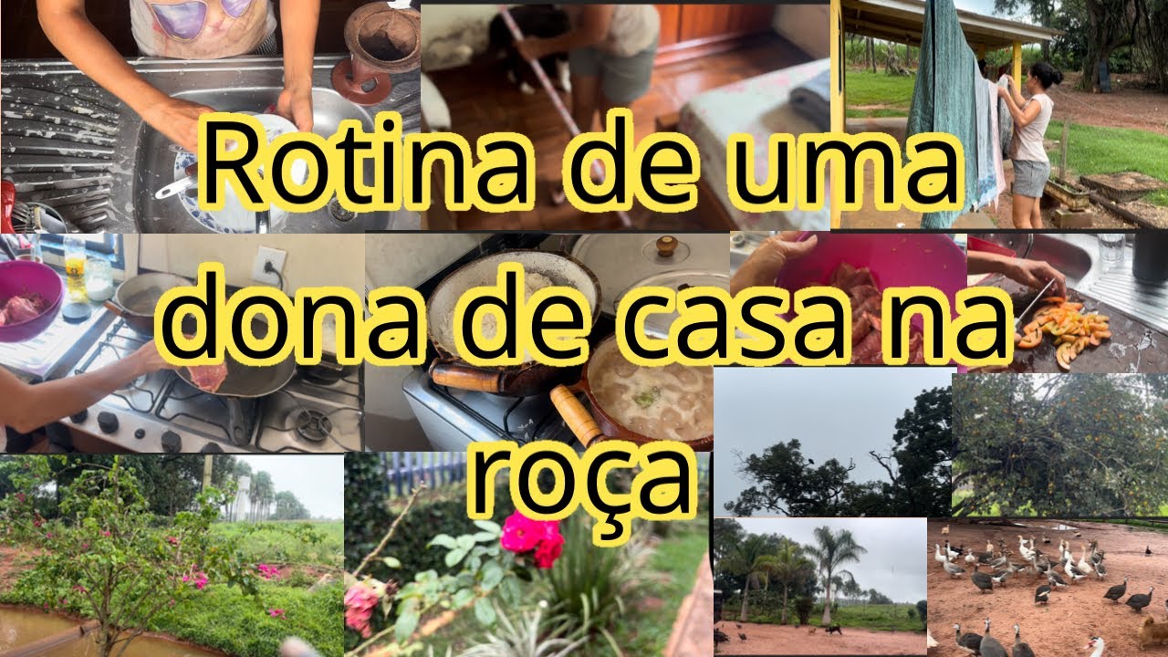 Minha rotina vivendo na roça 